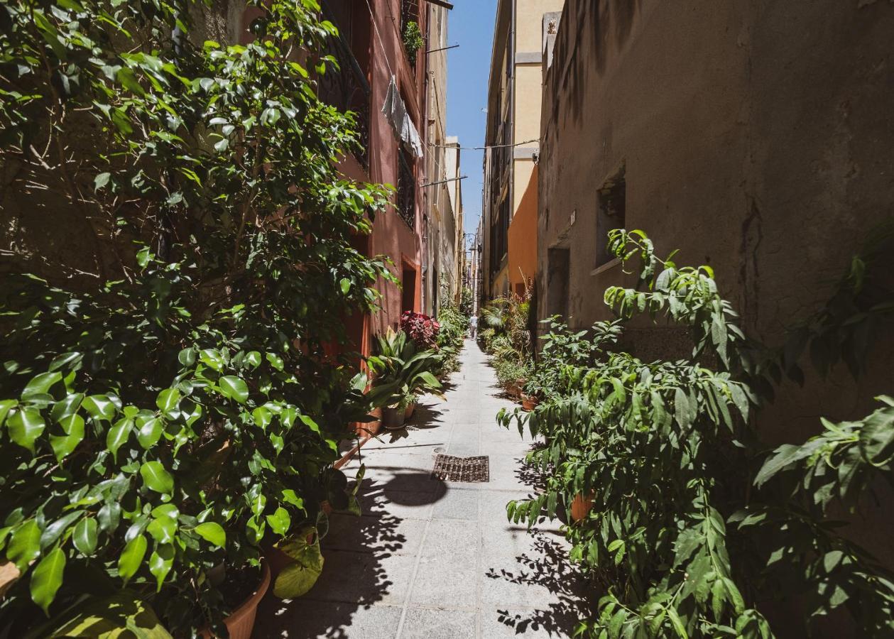 Appartamento Agave - quartiere Castello Cagliari Esterno foto