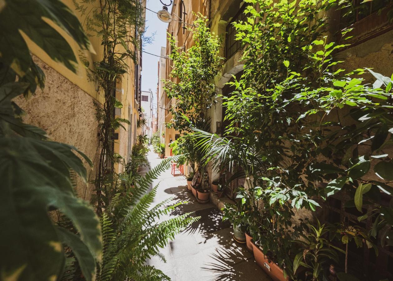Appartamento Agave - quartiere Castello Cagliari Esterno foto
